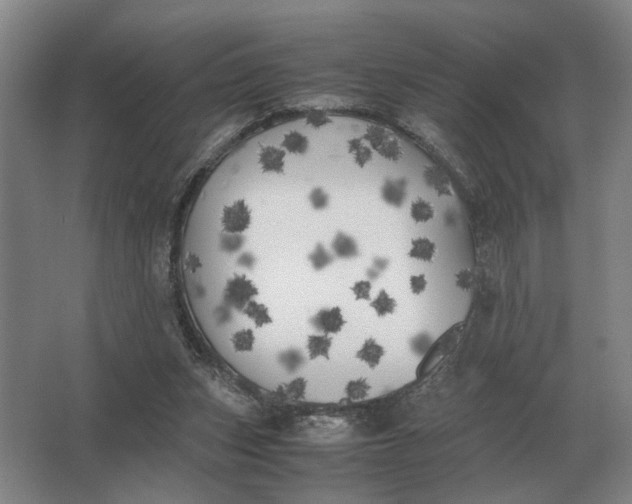 X0000062920159200601271814