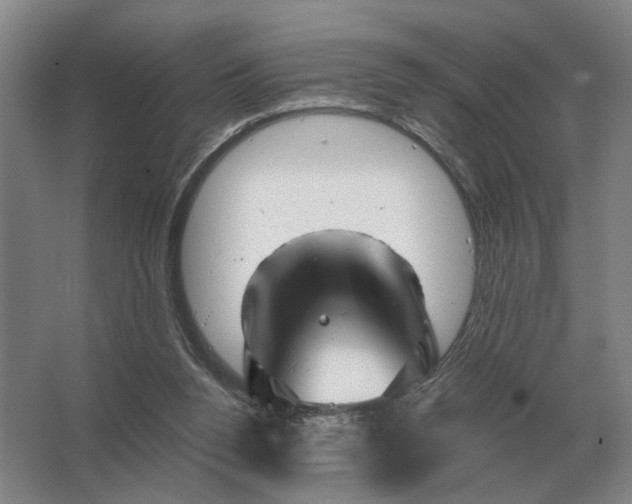 X0000062920160200601271814