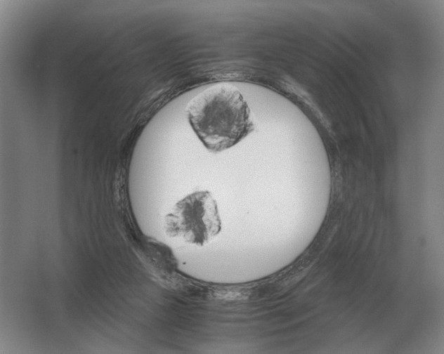 X0000062920161200601271814