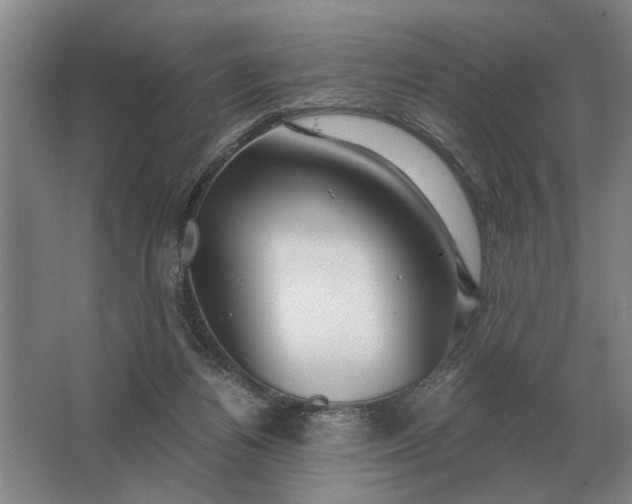 X0000062920164200601271814