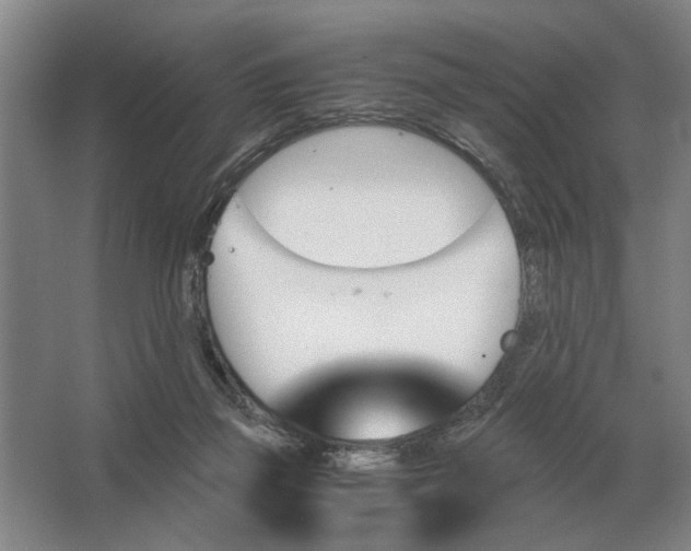 X0000062920165200601271814