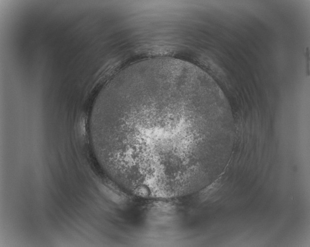 X0000062920166200601271814