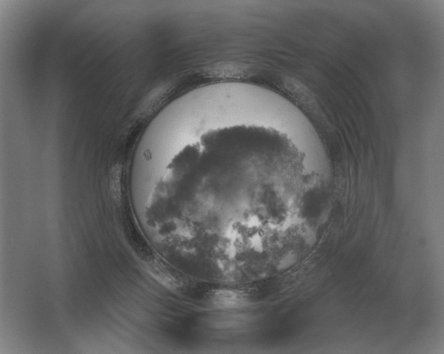 X0000062920167200601271814