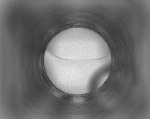 X0000062920169200601271814