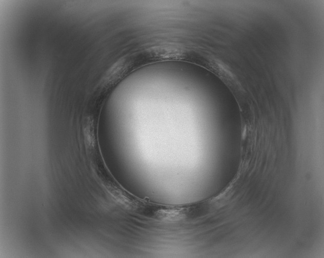 X0000062920170200601271814