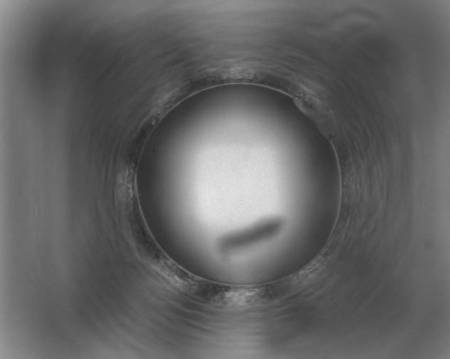 X0000062920172200601271814