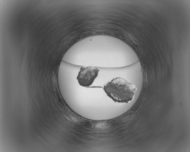 X0000062920173200601271814