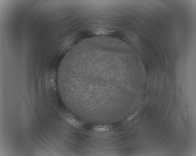 X0000062920175200601271815