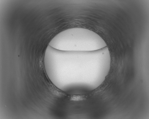 X0000062920177200601271815