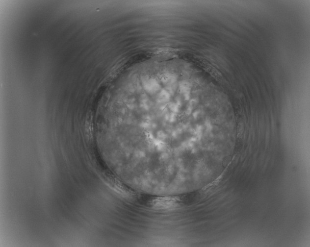 X0000062920179200601271815