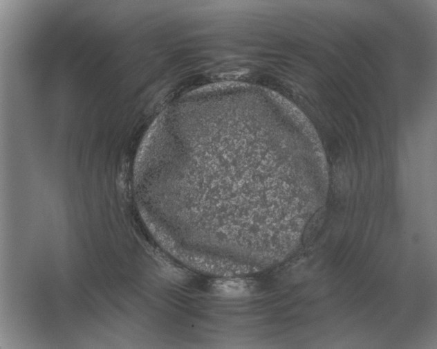 X0000062920181200601271815