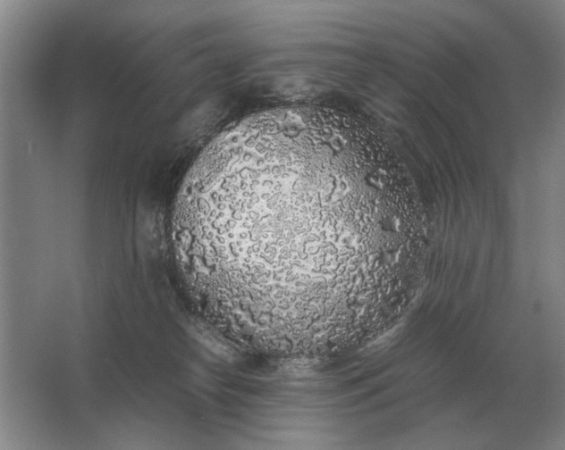 X0000062920182200601271815