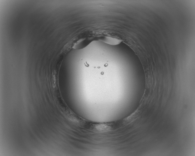 X0000062920183200601271815