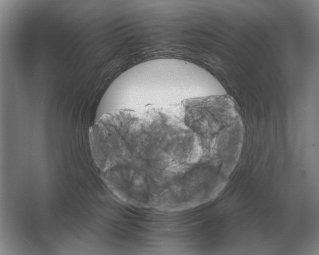 X0000062920185200601271815