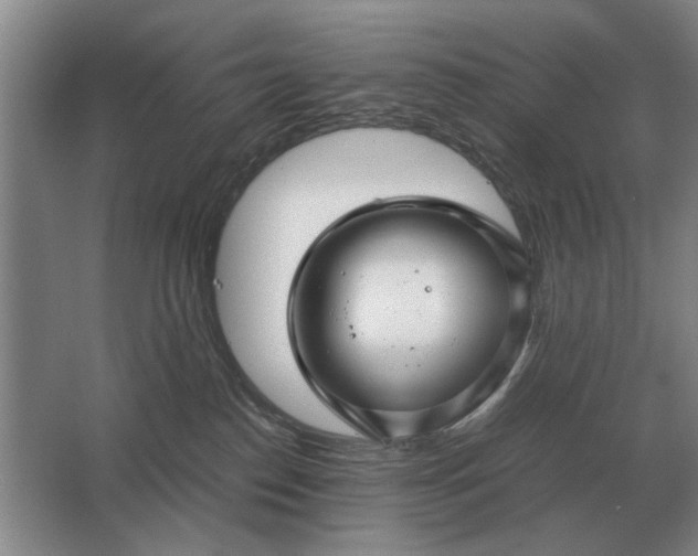 X0000062920186200601271815