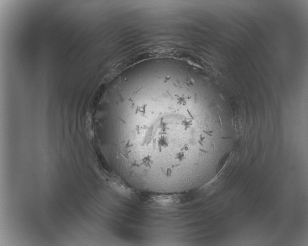 X0000062920187200601271815