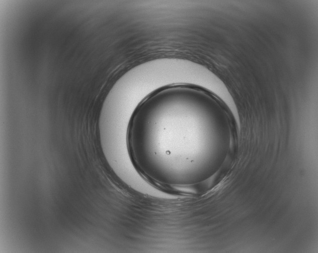 X0000062920188200601271815