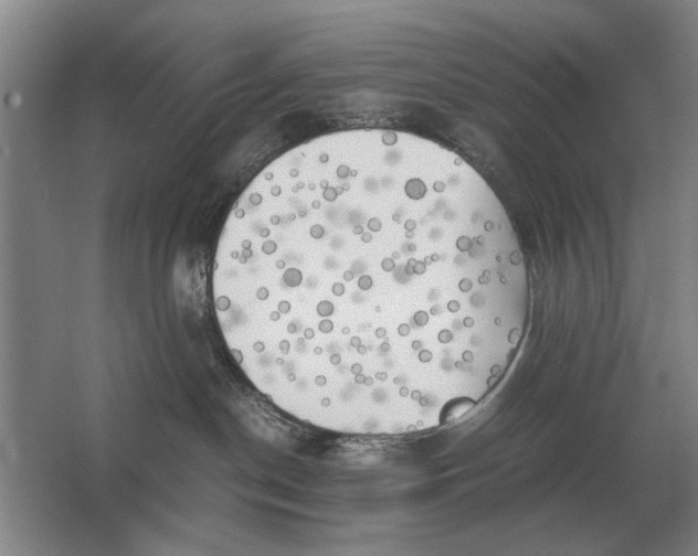 X0000062920190200601271815