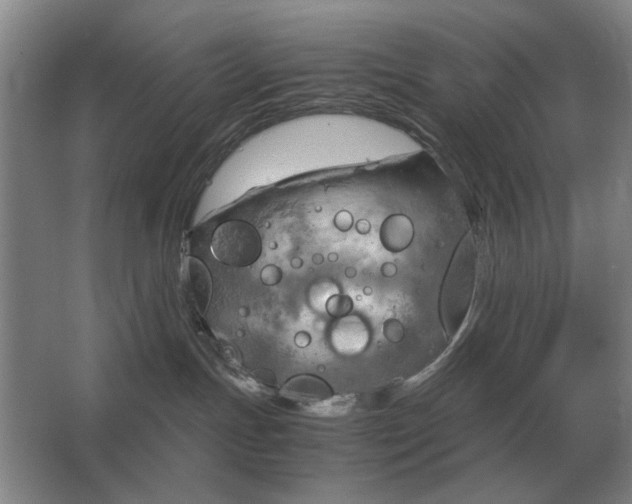 X0000062920191200601271815