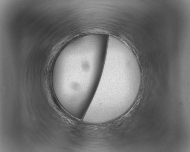 X0000062920193200601271814