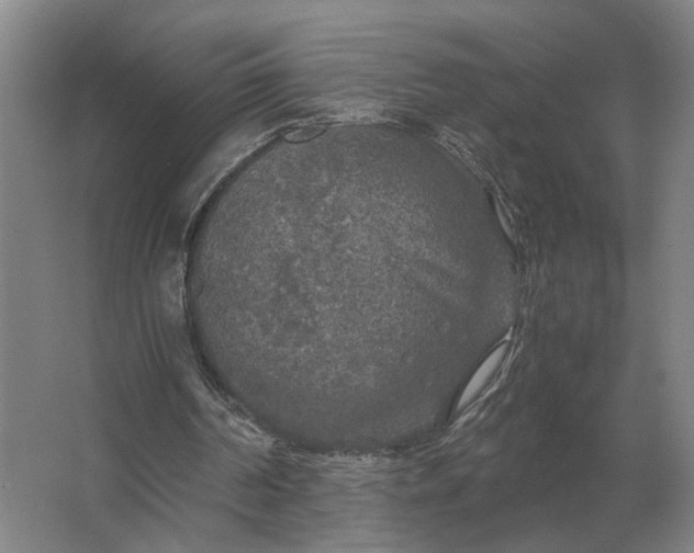 X0000062920194200601271814