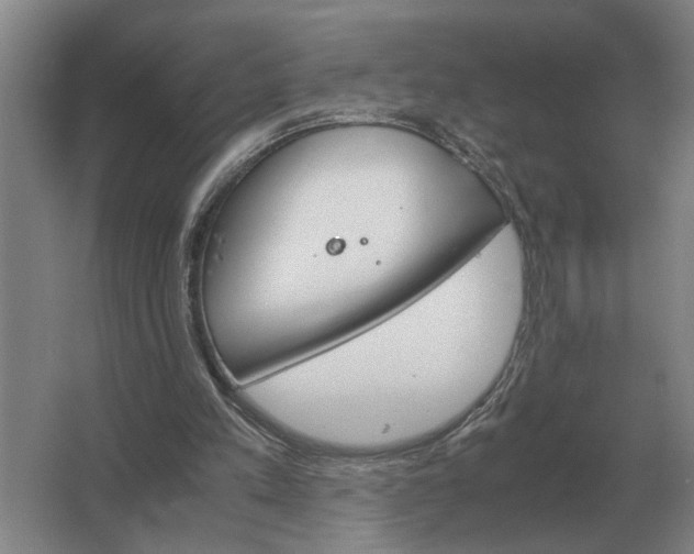 X0000062920197200601271814