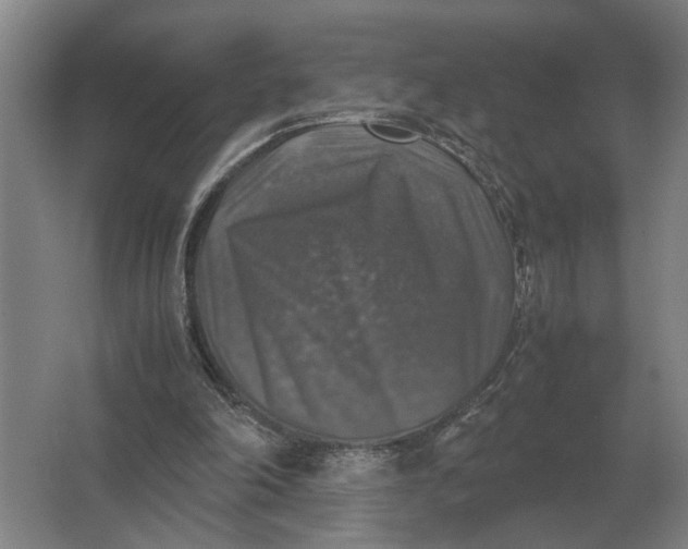 X0000062920198200601271814