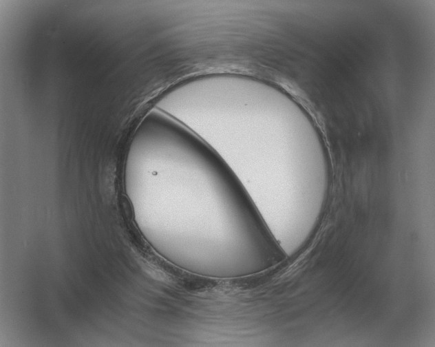 X0000062920201200601271814