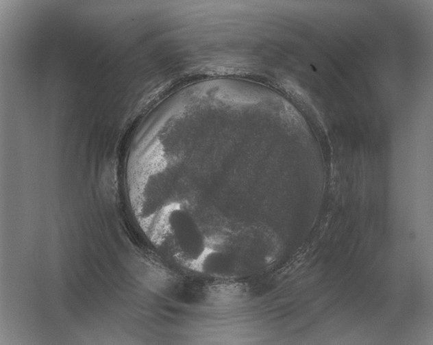 X0000062920202200601271814