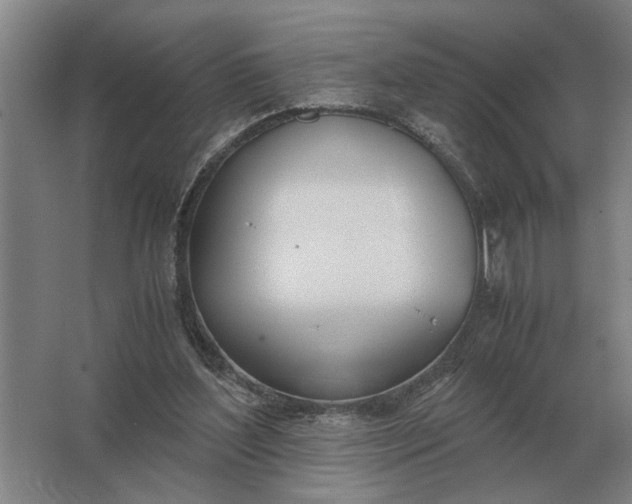 X0000062920204200601271814