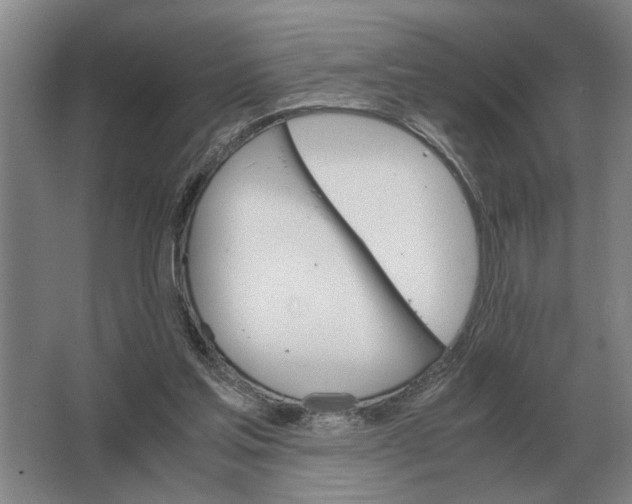 X0000062920205200601271814