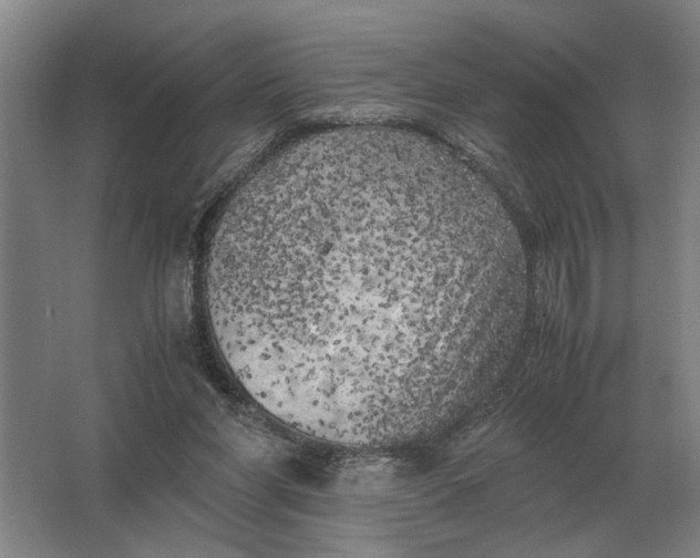 X0000062920206200601271814