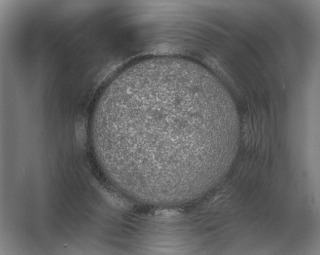 X0000062920208200601271814