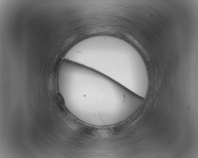 X0000062920209200601271814