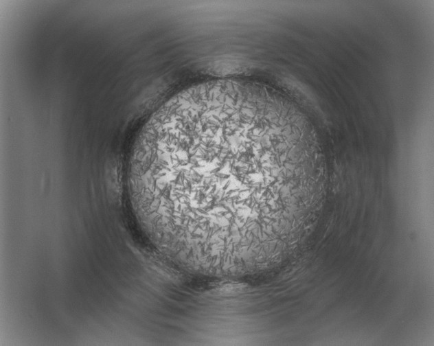 X0000062920210200601271814