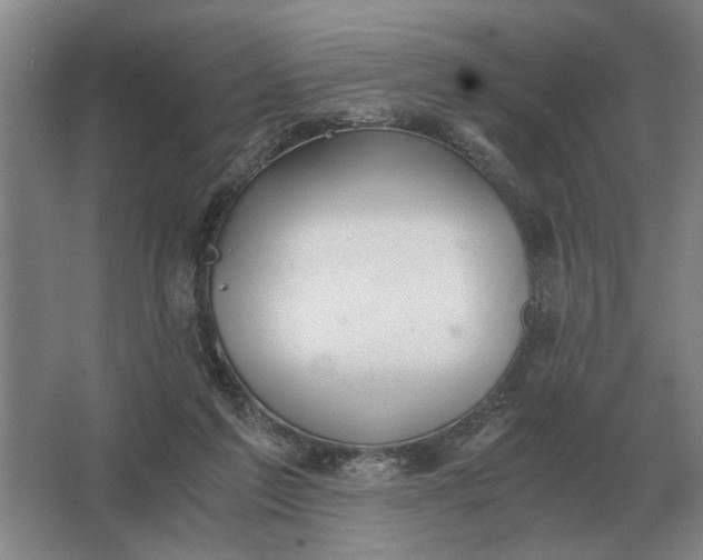 X0000062920213200601271814