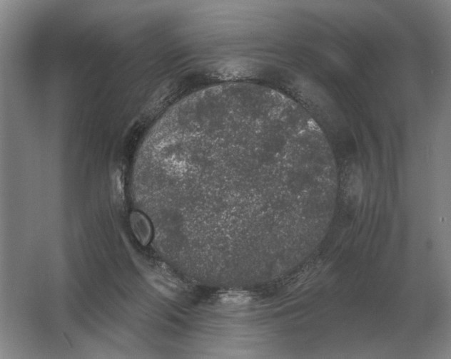 X0000062920214200601271814