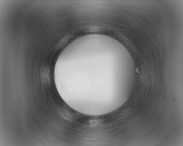 X0000062920216200601271814