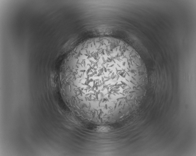 X0000062920218200601271814