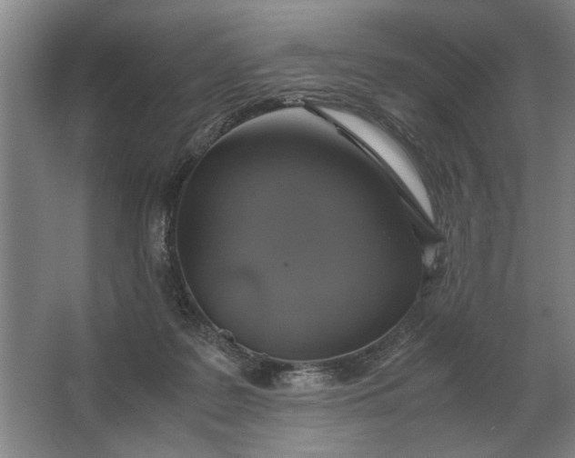 X0000062920219200601271814