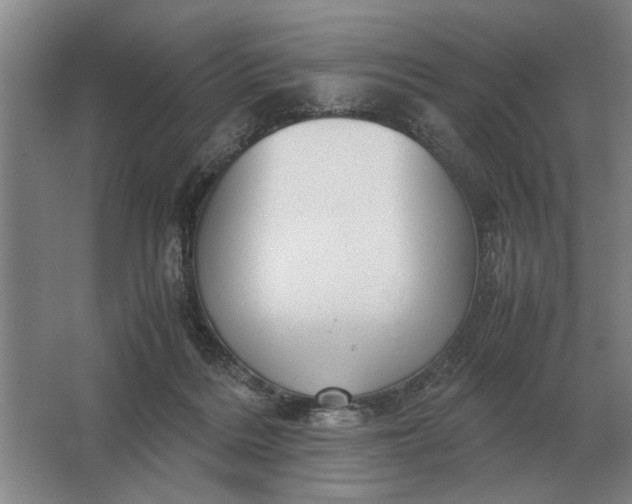 X0000062920220200601271814