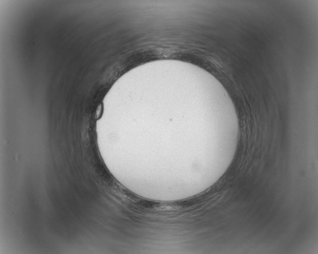 X0000062920221200601271814