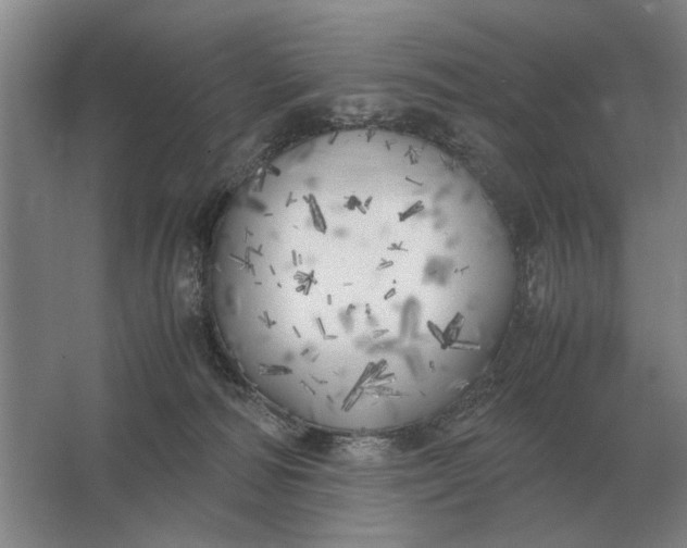 X0000062920226200601271813