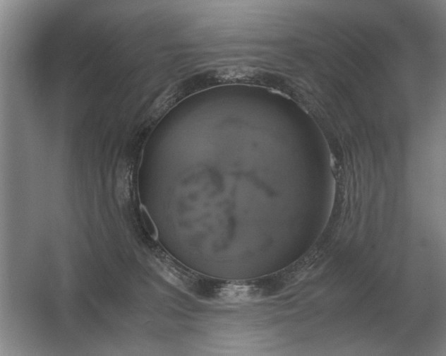 X0000062920227200601271813