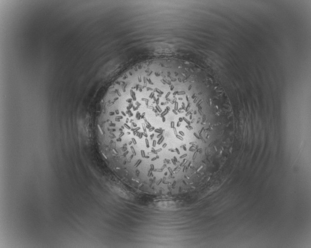 X0000062920228200601271813