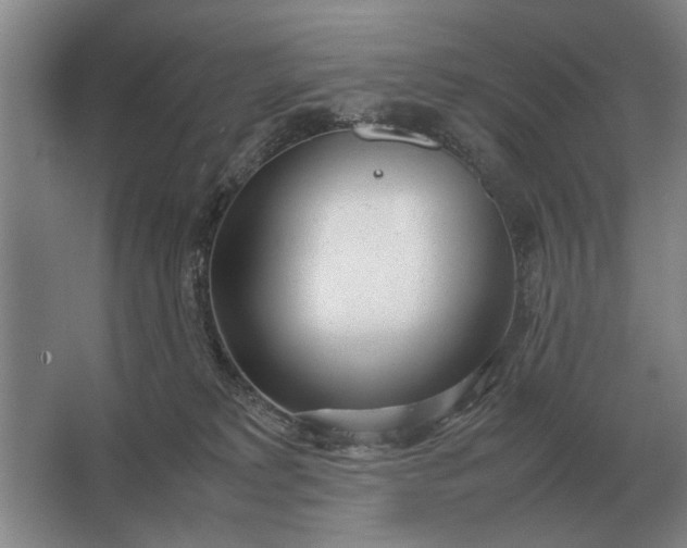 X0000062920229200601271813