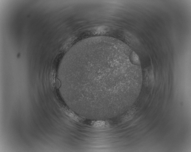 X0000062920230200601271813