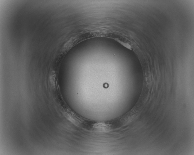 X0000062920231200601271813