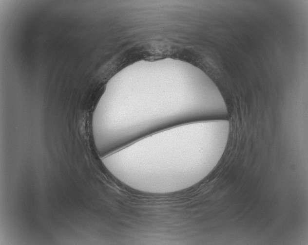 X0000062920233200601271813