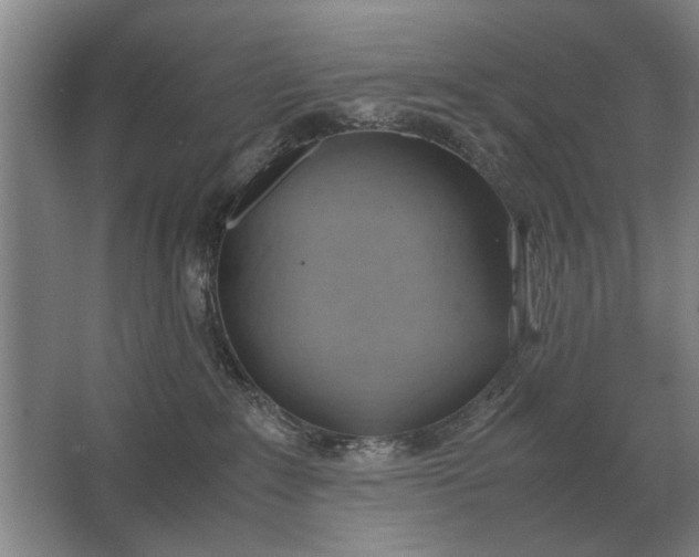 X0000062920235200601271813